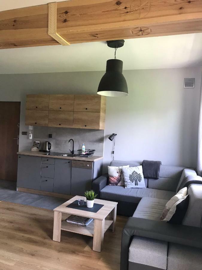 Apartamentypodzakopanem.Pl Murzasichle Kültér fotó